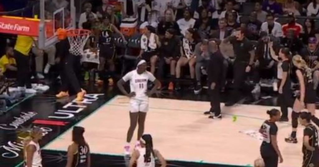 WNBA: Συσπείρωση και σύλληψη άνδρα μετά από ρίψη sex toy στο Σπαρκς-Ντριμ!